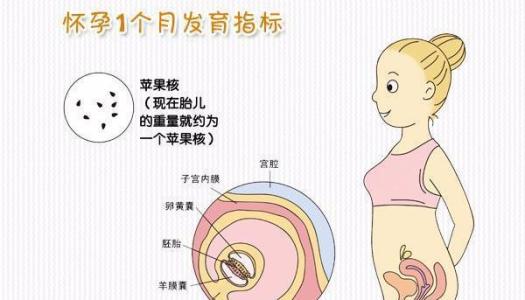 兴义妇女怀孕的早期指标
